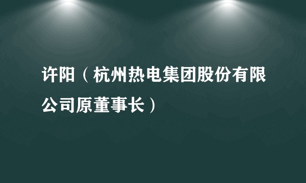 许阳（杭州热电集团股份有限公司原董事长）
