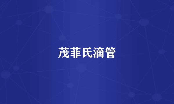 茂菲氏滴管