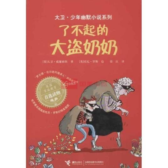 了不起的大盗奶奶（2013年接力出版社出版的图书）