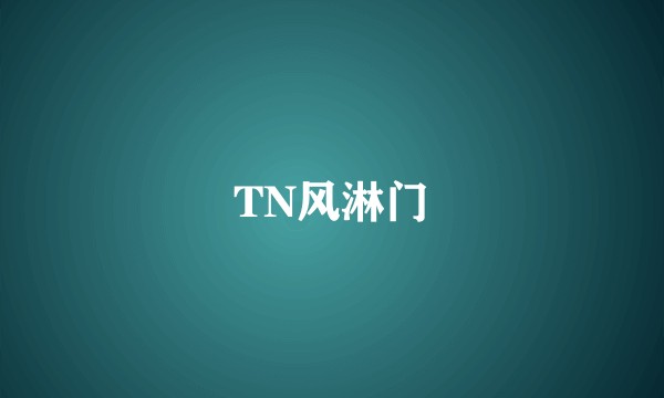 TN风淋门