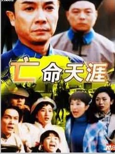 亡命天涯路（1990年香港电视剧）