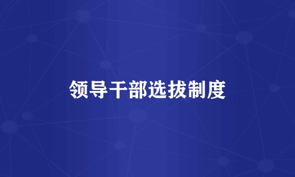 领导干部选拔制度