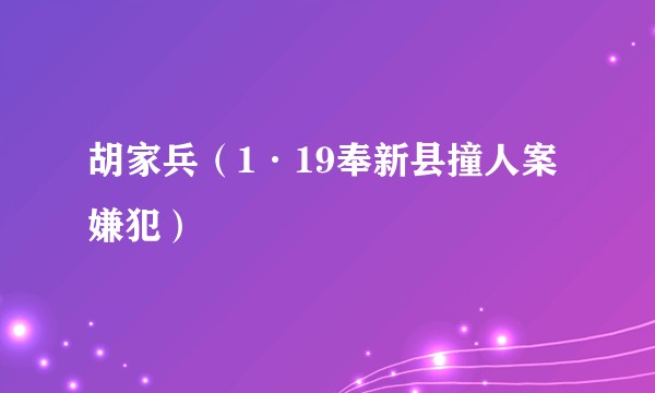 胡家兵（1·19奉新县撞人案嫌犯）
