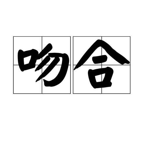 吻合（汉语词汇）