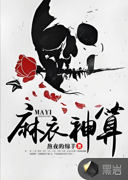 麻衣神算(黑岩网小说)