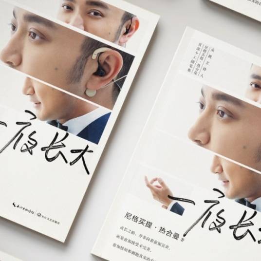 一夜长大(尼格买提·热合曼文学作品)