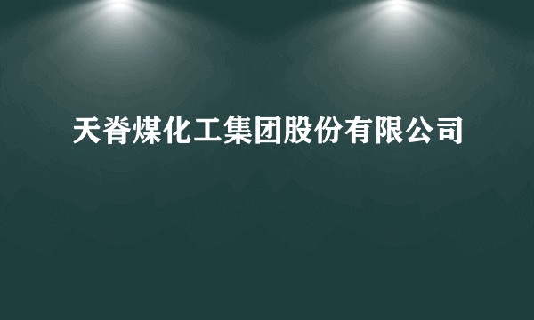 天脊煤化工集团股份有限公司