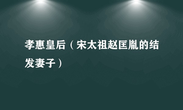 孝惠皇后（宋太祖赵匡胤的结发妻子）
