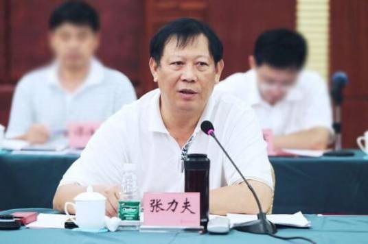 张力夫(海南省人大常委会原副主任)
