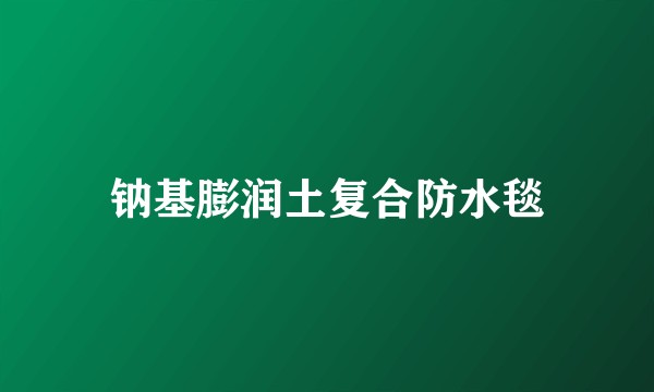 钠基膨润土复合防水毯