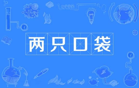 两只口袋