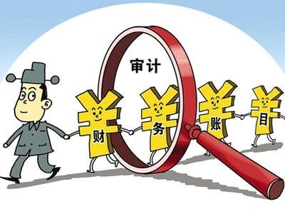 税务审计报告