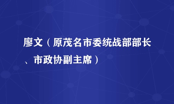 廖文（原茂名市委统战部部长、市政协副主席）