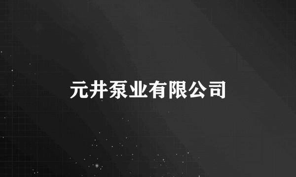元井泵业有限公司