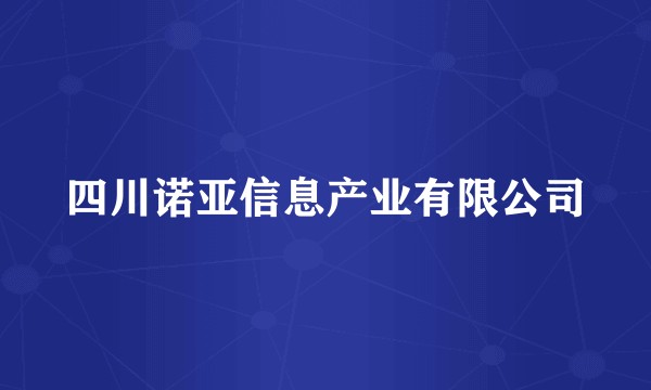 四川诺亚信息产业有限公司