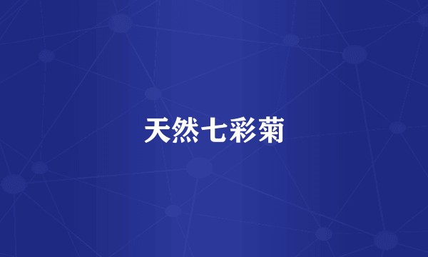 天然七彩菊