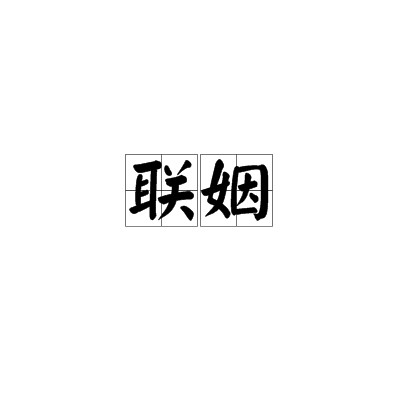 联姻（名词）