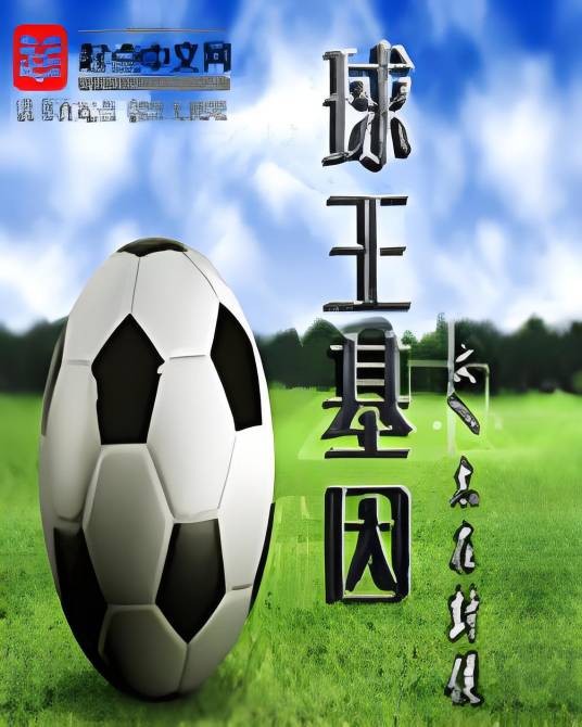 球王贝斯特