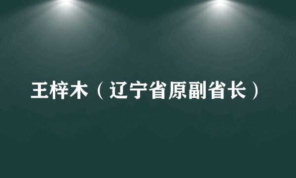 王梓木（辽宁省原副省长）
