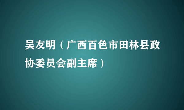 吴友明（广西百色市田林县政协委员会副主席）