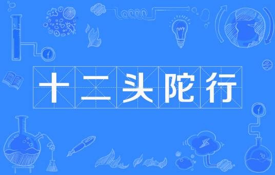 十二头陀行