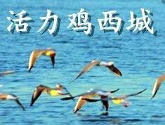 鸡西吧