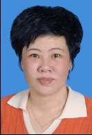 陈月（广东省汕尾市陆丰市政协原党组副书记、副主席）