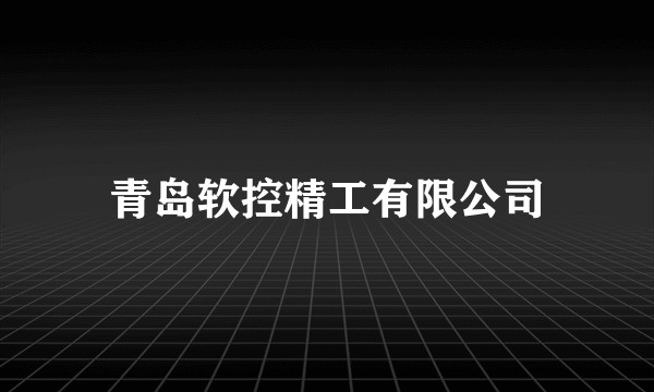 青岛软控精工有限公司