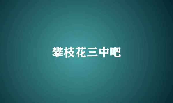 攀枝花三中吧
