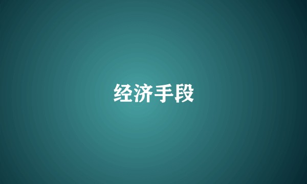 经济手段