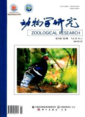 动物学研究