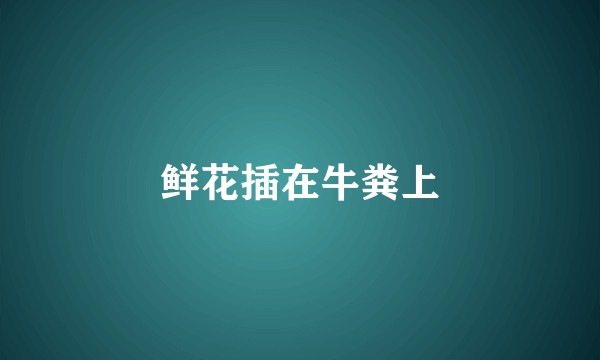 鲜花插在牛粪上