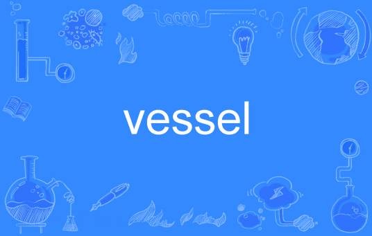 vessel(英语单词)