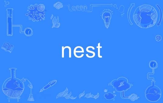 nest（英语单词）