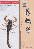 养蝎子
