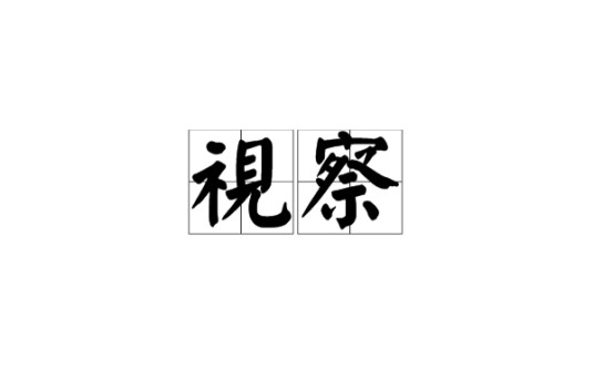 视察