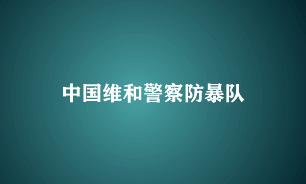 中国维和警察防暴队