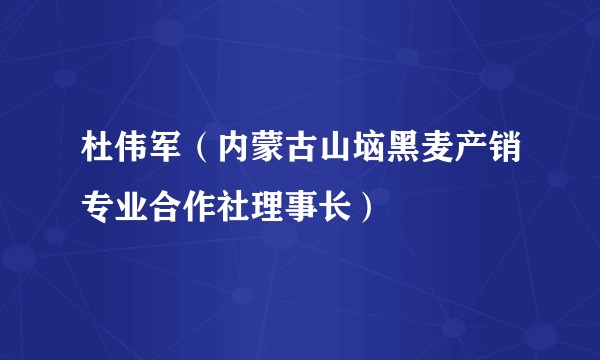 杜伟军（内蒙古山垴黑麦产销专业合作社理事长）