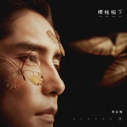 樱桃树下（阿云嘎演唱的歌曲）