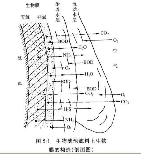 生物膜法