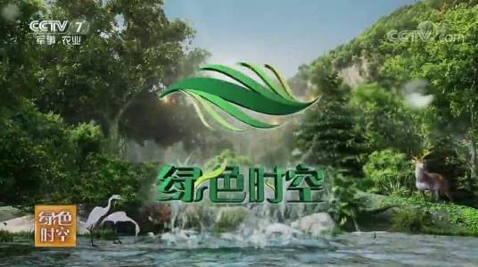 绿色时空