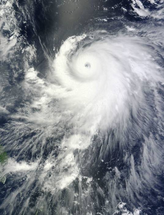 台风夏浪(2014年第11号超强台风)