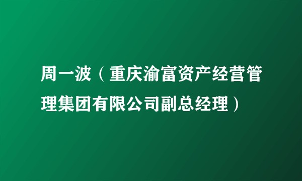 周一波（重庆渝富资产经营管理集团有限公司副总经理）