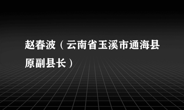 赵春波（云南省玉溪市通海县原副县长）