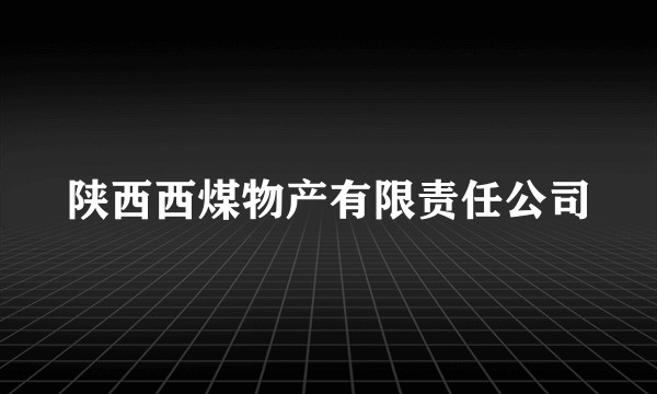 陕西西煤物产有限责任公司