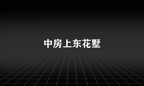 中房上东花墅