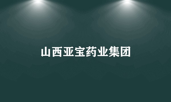 山西亚宝药业集团