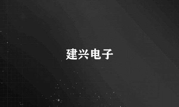 建兴电子