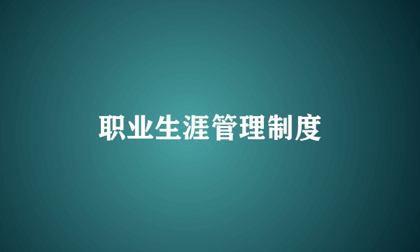 职业生涯管理制度