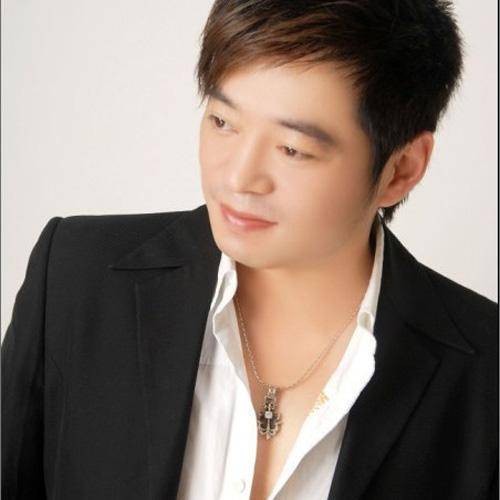 到底是谁伤了谁的心（彤杰演唱歌曲）